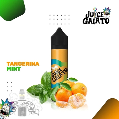 Juice Tangerine Mint - Juice Gaiato; vapevaportabacaria.com
